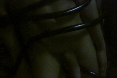growlboys-0017-gay_tentacle_porn-gfur-pic01