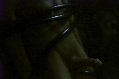 growlboys-0017-gay_tentacle_porn-gfur-pic02