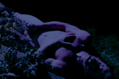 gbs0041_001